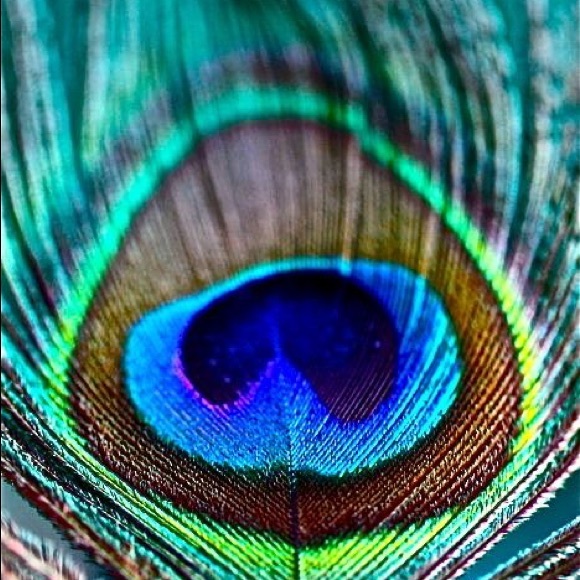 “Showtime” Peacock Bird Feather Statement Earrings - Picture 6 of 12